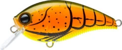 Yo-Zuri 3DB Crank 1.5 Shallow Squarebill Crankbait -Fishing Sale Shop R1352 BOCF