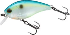 Yo-Zuri 3DB Crank 1.5 Shallow Squarebill Crankbait -Fishing Sale Shop R1352 CSH
