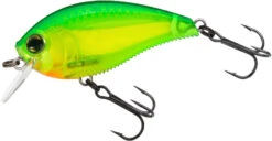 Yo-Zuri 3DB Crank 1.5 Shallow Squarebill Crankbait -Fishing Sale Shop R1352 GCL