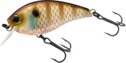 Yo-Zuri 3DB Crank 1.5 Shallow Squarebill Crankbait -Fishing Sale Shop R1352 NBG