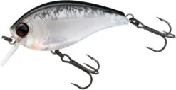 Yo-Zuri 3DB Crank 1.5 Shallow Squarebill Crankbait -Fishing Sale Shop R1352 PBLS