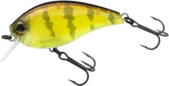 Yo-Zuri 3DB Crank 1.5 Shallow Squarebill Crankbait -Fishing Sale Shop R1352 PCPC