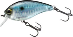 Yo-Zuri 3DB Crank 1.5 Shallow Squarebill Crankbait -Fishing Sale Shop R1352 PSH