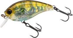 Yo-Zuri 3DB Crank 1.5 Shallow Squarebill Crankbait -Fishing Sale Shop R1352 RGCF 3b22e7e7 3013 47a9 ab9b 704f1315e13a