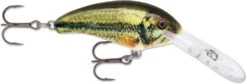 Rapala Shad Dancer SDD05 Medium Diving Crankbait -Fishing Sale Shop SDD LBL