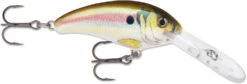 Rapala Shad Dancer SDD05 Medium Diving Crankbait -Fishing Sale Shop SDD RSL