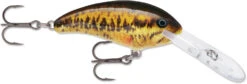 Rapala Shad Dancer SDD05 Medium Diving Crankbait -Fishing Sale Shop SDD SBL