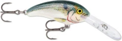Rapala Shad Dancer SDD05 Medium Diving Crankbait -Fishing Sale Shop SDD SD