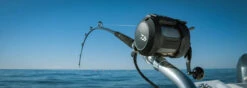 Daiwa Tanacom 800 Power Assist Electric Dendoh Reel -Fishing Sale Shop TANACOM 800 BANNER1