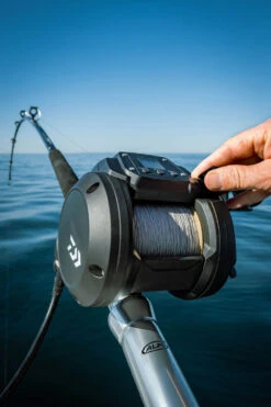 Daiwa Tanacom 800 Power Assist Electric Dendoh Reel -Fishing Sale Shop TANACOM 800 41