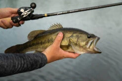 Temple Fork Outfitters Tactical Bass Glass Casting Rods -Fishing Sale Shop Tactical Bass Bottom Banner Lifestlye 1 f6a75b7c 7ed5 4159 863b 849c406dbdfc