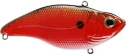 SPRO Aruku Shad 65 Lipless Crankbait 19 SPRO Aruku Shad 65 Lipless Crankbait -Fishing Sale Shop Texas Craw 993063b6 e2f5 4688 99b7 4274a26753ee