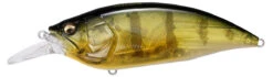 Megabass Big-M 4.0 Magnum Deep Diving Crankbait -Fishing Sale Shop big m40 gp pro perch 0db7837a f5b8 49a5 80f4 067dd94413d0