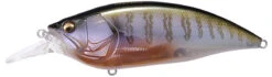 Megabass Big-M 4.0 Magnum Deep Diving Crankbait -Fishing Sale Shop big m40 secret gill 690f3e67 428c 468d 8400 a2d2a0ef7018