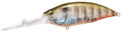 Megabass Big-M 7.5 Magnum Extra Deep Diving Crankbait -Fishing Sale Shop big m75 biwako clear gill e6066747 49ff 4ac7 bcb0 c24889f42772