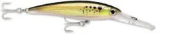 Rapala X-Rap Magnum 40 Big Game Slash Bait -Fishing Sale Shop bunker 628d1cb7 16e9 4812 9d82 e4fb9334c5e2