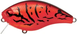 Evergreen International CH-1 Waking Crankbait -Fishing Sale Shop evergreen CH 1 064 firecraw