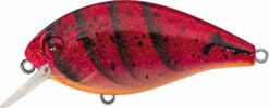 Evergreen International SH-3 Shallow Squarebill Crankbait -Fishing Sale Shop evergreen SH 3 223 speed craw