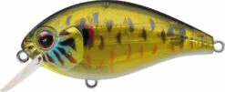 Evergreen International SH-3 Shallow Squarebill Crankbait -Fishing Sale Shop evergreen SH 3 286 skeleton pumpkinseed