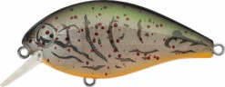 Evergreen International SH-3 Shallow Squarebill Crankbait -Fishing Sale Shop evergreen SH 3 363 albino craw
