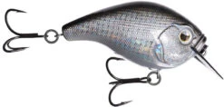 13 Fishing Scamp 1.5/2.5 Squarebill Crankbait -Fishing Sale Shop flipDisco shad