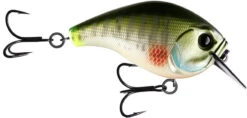 13 Fishing Scamp 1.5/2.5 Squarebill Crankbait -Fishing Sale Shop flipDream Gill