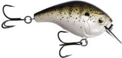13 Fishing Scamp 1.5/2.5 Squarebill Crankbait -Fishing Sale Shop flipLouisiana Frog Cakes