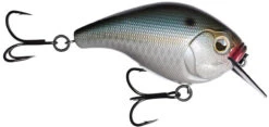 13 Fishing Scamp 1.5/2.5 Squarebill Crankbait -Fishing Sale Shop flipNatty night