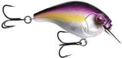 13 Fishing Scamp 1.5/2.5 Squarebill Crankbait -Fishing Sale Shop flipPurple Nurple