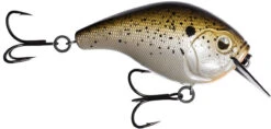 13 Fishing Scamp 1.5/2.5 Squarebill Crankbait -Fishing Sale Shop flipTruffle Butter