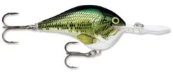 Rapala DT Series Crankbait DT16 -Fishing Sale Shop rapala dt10 baby bass 9f4297d4 e93b 4dc9 9e82 ad9811b01dc0