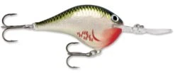 Rapala DT Series Crankbait DT16 -Fishing Sale Shop rapala dt10 bleeding olive shiner b0933817 f4b0 4dbd 8841 3fc7fccc6f40