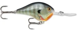 Rapala DT Series Crankbait DT16 -Fishing Sale Shop rapala dt10 bluegill f174ddf6 bff7 40b2 a370 19e4ee6a3db7
