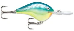 Rapala DT Series Crankbait DT16 -Fishing Sale Shop rapala dt10 caribbean shad f66bce04 fcc7 4052 82ab f212457de5b6