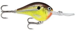 Rapala DT Series Crankbait DT16 -Fishing Sale Shop rapala dt10 hot mustard 847d0a2c 2be5 48b6 ab17 11f103d1180d