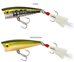 Rebel P50 Teeny Pop-R 2in -Fishing Sale Shop rebel p50 teeny pop r 2in 18331.1651013318