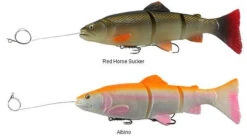 Fishing Sale Shop -Fishing Sale Shop savage gear pre rigged 3d line thru trout lures 89082.1650821678