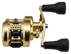Shimano Calcutta Conquest MD Baitcasting Reels -Fishing Sale Shop shimano calcutta conquest md baitcasting reels 25316.1674255441