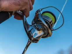 Shimano Stradic FL Spinning Reels -Fishing Sale Shop shimano stradic fl spinning reels 33628.1651246853