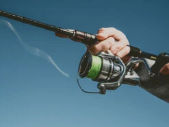 Shimano Stradic FL Spinning Reels -Fishing Sale Shop shimano stradic fl spinning reels 61058.1651246852