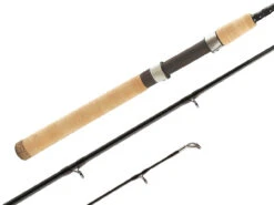 Shimano Teramar Inshore Southeast Casting And Spinning Rods -Fishing Sale Shop shimano teramar southeast fishing rods 71796.1651006809