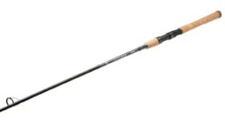 Shimano 2022 Teramar Southeast Spinning Rods -Fishing Sale Shop shimano teramar southeast spinning rods 41378.1666620526