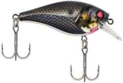 Berkley SquareBull 2 3/8 Inch Shallow Squarebill Crankbait -Fishing Sale Shop squarebull black silver a43ada4f f3fc 4f83 abd8 116ee7b133b0
