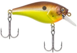 Berkley SquareBull 2 3/8 Inch Shallow Squarebill Crankbait -Fishing Sale Shop squarebull brown mustard 81da5849 8ea2 4f4e b46f 0980ead1b2b1