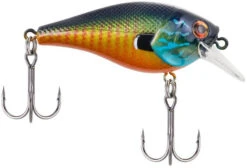 Berkley SquareBull 2 3/8 Inch Shallow Squarebill Crankbait -Fishing Sale Shop squarebull gilly 9823b24f 821b 42a2 bbbb 0c93e43286eb