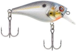 Berkley SquareBull 2 3/8 Inch Shallow Squarebill Crankbait -Fishing Sale Shop squarebull sexier shad 1d609b07 b72e 43cb ae5f 8f3b1f1c079e