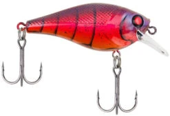 Berkley SquareBull 2 3/8 Inch Shallow Squarebill Crankbait -Fishing Sale Shop squarebull special red craw a3eeef37 c990 4d30 a2a4 9203d3981ecd