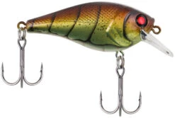 Berkley SquareBull 2 3/8 Inch Shallow Squarebill Crankbait -Fishing Sale Shop squarebull vintage craw 80989045 ac81 41fe b62e aacb608a8003