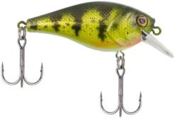 Berkley SquareBull 2 3/8 Inch Shallow Squarebill Crankbait -Fishing Sale Shop squarebull yellow perch 08cc63df 2824 4d70 8487 3e7beebcaa15
