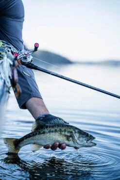 Temple Fork Outfitters Tactical Elite Bass Baitcasting Rods 22 Temple Fork Outfitters Tactical Elite Bass Baitcasting Rods -Fishing Sale Shop tfo tactical elite bass bottom banner lifestyle 1 1